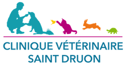 Clinique Vétérinaire Saint Druon - Cambrai