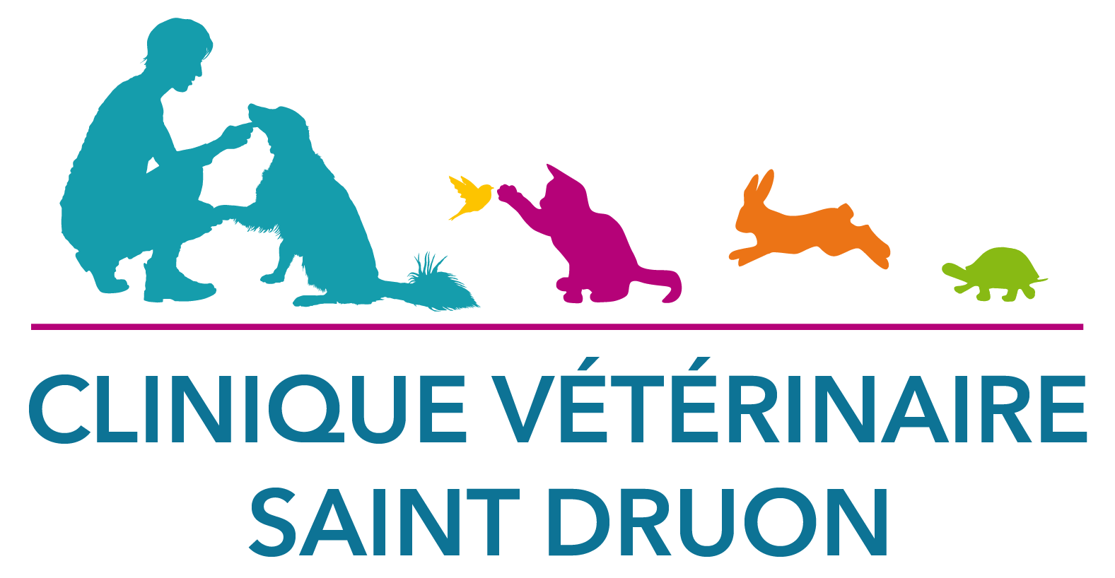 Clinique Vétérinaire Saint Druon à Cambrai